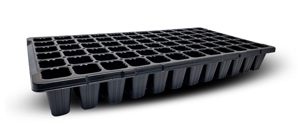 Bandejas de cultivo