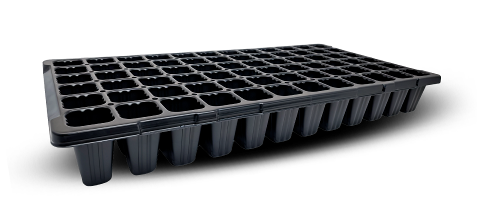 Bandejas de cultivo