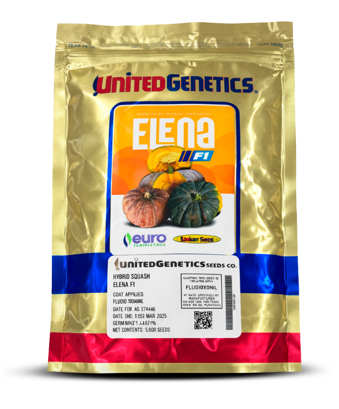 Semilla de auyama Elena F1